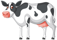 Cow